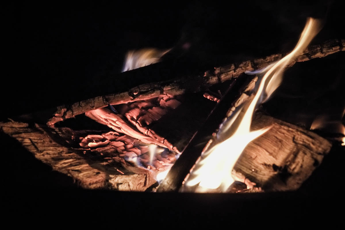 Willkommen im Jahr 2026: Wir sind das Licht!