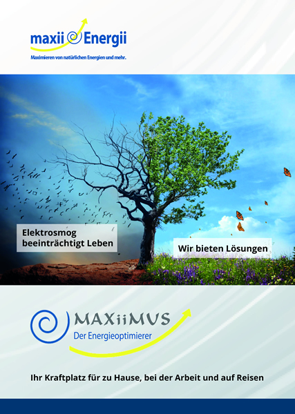 Broschüre MAXiiMUS